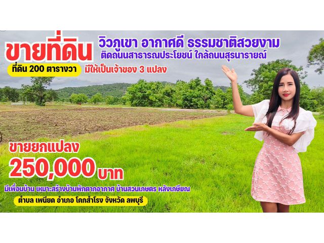 ขายที่ดิน " วิวภูเขา " อากาศดี ติดทางสาธารณประโยชน์ ใกล้ถนนสุรนารายณ์(บ้านเพนียด) มีให้เป็นเจ้าของ 3 แปลงเท่านั้น ลพบุรี