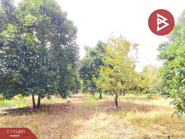 ขายที่ดิน เนื้อที่ 11 ไร่ 1 งาน 51 ตร.วา ท่าใหม่ จันทบุรี