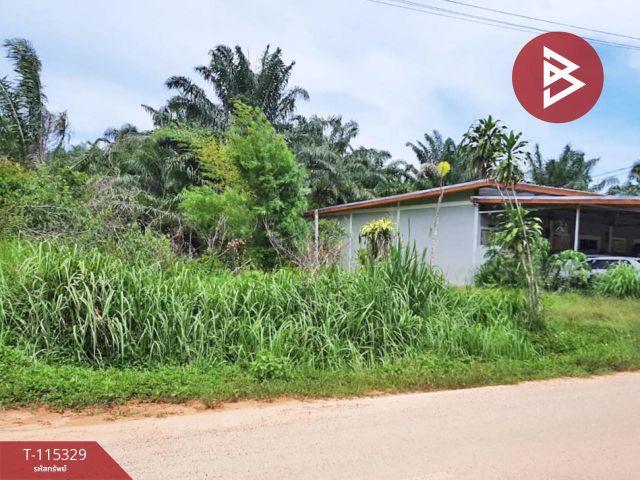 ขายที่ดิน เนื้อที่ 58.2 ตร.วา หนองทะเล กระบี่