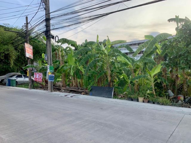 ขายที่ดิน178ตร.วา ดอนเมือง สรงประภาเชื่อมต่อเตชะตุงคะติดถนนคอนกรีตทำถนนใหม่ ใกล้รถไฟฟ้าสีแดง นำ้ไม่ท่วม