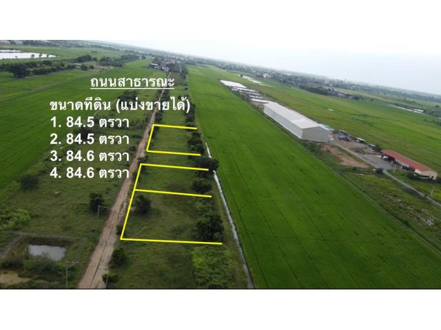 ที่ดินแปลงเล็ก คลอง 16 ราคาถูก ใกล้กรุงเทพฯ เหมาะปลูกบ้านสวน