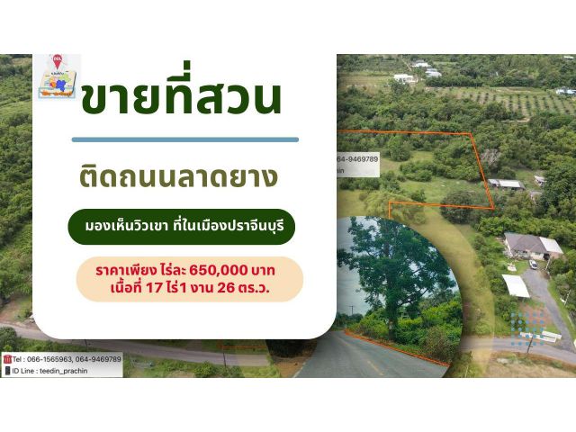 ️ขายที่สวน ติดถนนลาดยาง ที่ในเมือง ปราจีนบุรี ราคาเพียงไร่ละ 650,000 บาท ที่ถมดินแล้ว มองเห็นวิวเขา