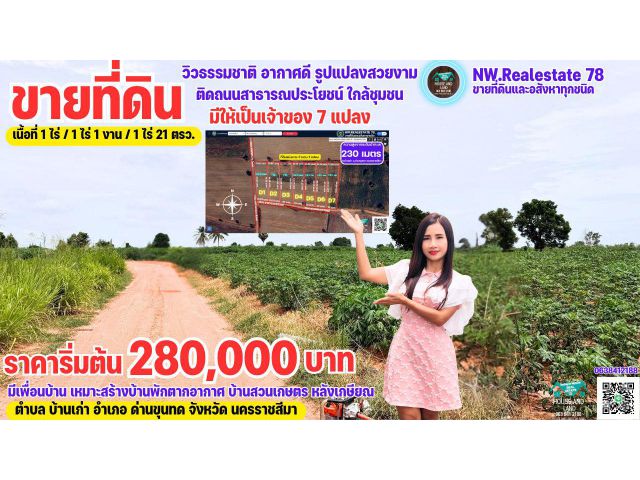 ที่ดินแบ่งขาย 7 แปลง ราคาถูก ติดถนนสาธารณประโยชน์ รูปแปลงสวย ใกล้ชุมชน เหมาะสร้างบ้านสวยเกษตร ด่านขุนทด โคราชบ้านเอง