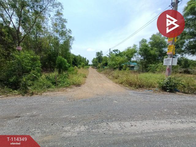 ขายที่ดิน เนื้อที่ 3 งาน คลองหลวง ปทุมธานี
