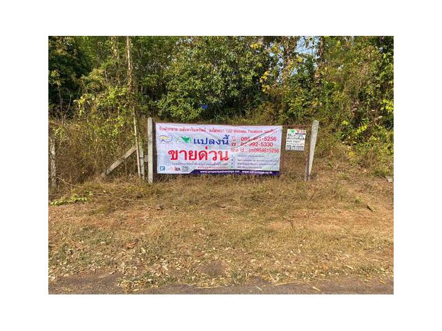 ขายที่ดินสวนยางพารา 37-2-80 ไร่ (รวม 5 แปลง) ต.นาพู่   อ.เพ็ญ   จ.อุดรธานี