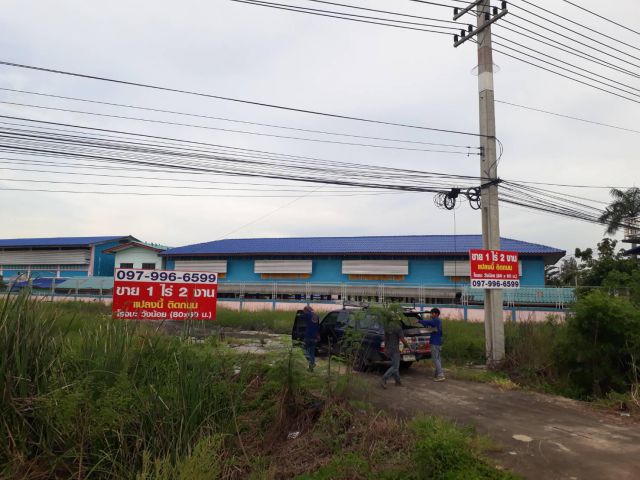 ขายที่ดินถ.โรจนะ-วังน้อย เนื้อที่ 600 ตร.ว ถมแล้ว หน้ากว้าง 80 เมตร เหมาะลงทุน