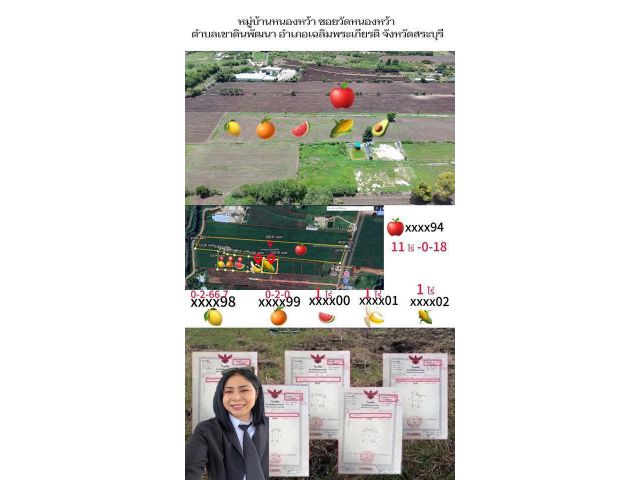 ขายที่ดิน 1 ไร่ ตำบลดินพัฒนา อำเภอเฉลิมพระเกียรติ สระบุรี 0985136286 อัน