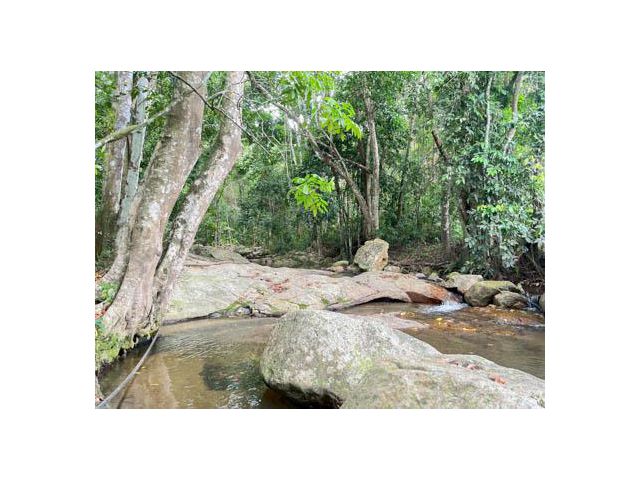 Land Big Plot For Sale in Koh samui