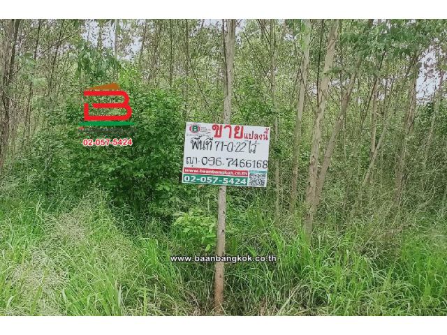 ที่ดินเปล่า ตำบลท่าบุญมี (สี่แยกเกาะโพธิ์) เนื้อที่ 71-0-22 ไร่ (ใกล้อ่างเก็บน้ำคลองหลวงรัชชโลทร) จังหวัดชลบุรี