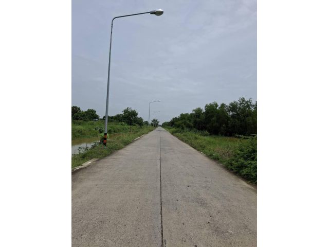 ขายด่วนที่ดินแปลงใหญ่ ติดถนนคอนกรีต ทำเลดี อำเภอหนองเสือ จังหวัดปทุมธานี