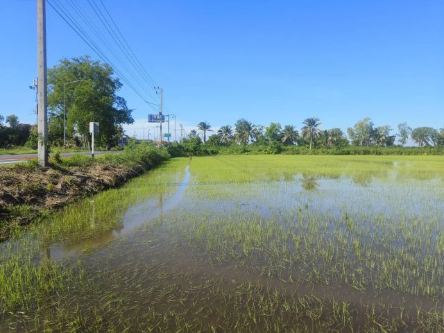 ขายที่ดินลำลูกกา คลอง14