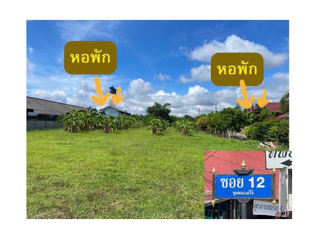ขายที่ดิน 2 ไร่ 3 ตรว. ย่านชุมชนแม่โจ้ อ.สันทราย จ.เชียงใหม่