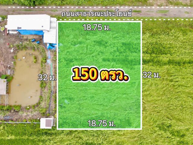 ที่ดิน หนองเสือ ปทุมธานี ขนาด 150 ตร.วา