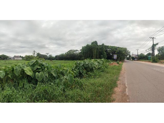 ขายที่ดิน 6ไร่ โซนบ้านหนองโจด เมืองขอนแก่น