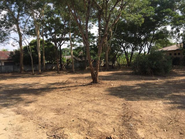 ขายที่ดินตำบลสันกลางสันกำแพงบ้านร้องขุ่นพร้อมโอน