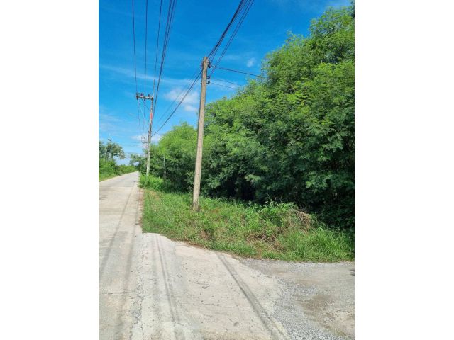 ขายที่ดินบางเตย แปดริ้ว 5 ไร่ ซอยอบต. ใกล้ถนนวงแหวนเลี่ยงเมือง365-6กม. เมืองฉะเชิงเทรา