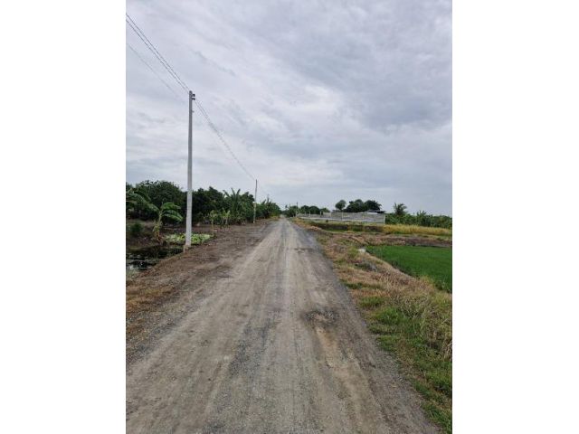 ขายที่ดินแปลงสวยราคาถูกติดถนนสาธารณะ3ด้านเนื้อที่ 372ตรว.เหมาะปลูกบ้านทำเกษตรหรือทำธุรกิจจัดสรร