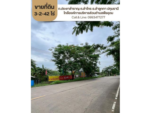 ขายที่ดินเปล่า ถนนประชาสำราญ ต.ลำไทร อ.ลำลูกกา ปทุมธานี ขนาด 3-2-42 ไร่ ใกล้องค์การบริหารส่วนตำบลพืชอุดม