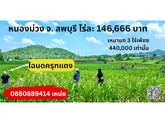 ที่ดิน หนองม่วง จ.ลพบุรี
