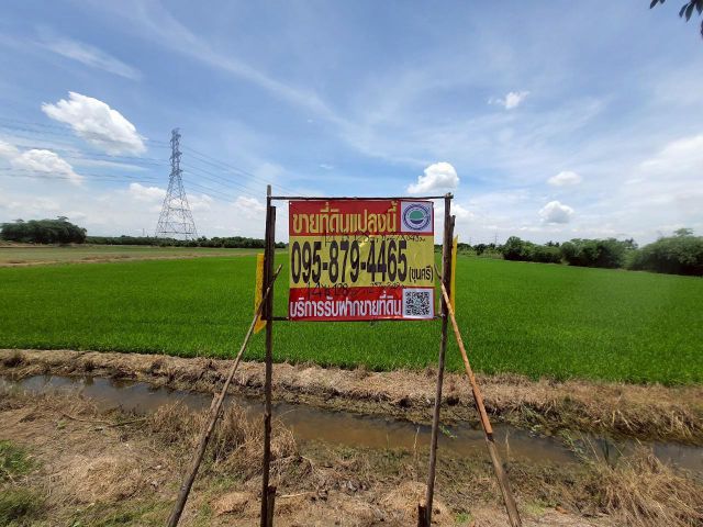 ขายถูก ที่ดินตำบลขุนศรี 14 ไร่ 128 ตรว(แบ่งได้) ติดถนนคอนกรีตสาธารณะอ.ไทรน้อย จ.นนทบุรี