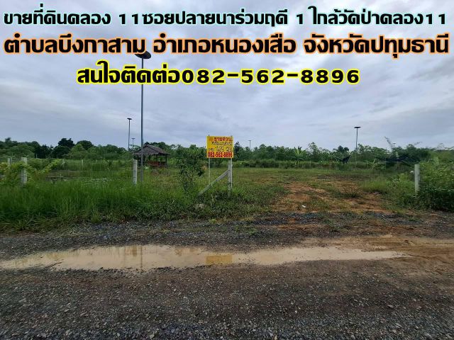 ขายที่ดินคลอง 11 ซอยปลายนาร่วมฤดี 1 ใกล้วัดป่าคลอง11 หนองเสือ ปทุมธานี