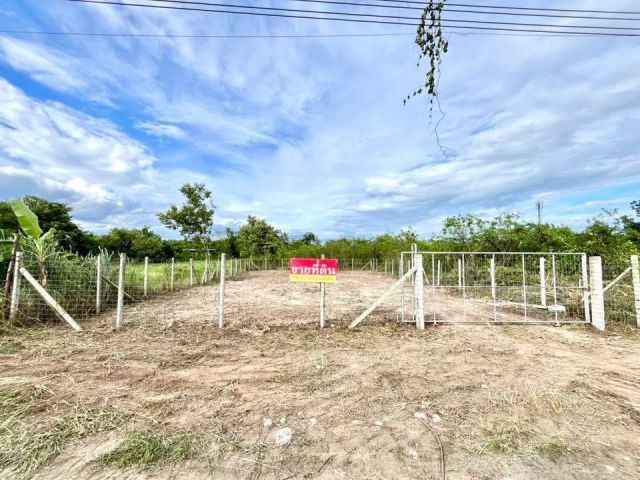 ขายที่ดิน 1 งาน 20 ตรว. หลังโรงเรียนสันป่าตองวิทยาคม
