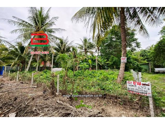 ที่ดิน ท่านัด-ดำเนินสะดวก เนื้อที่ 137 ตร.ว (ใกล้โรงพยาบาลส่งเสริมสุขภาพตำบลท่านัด) อำเภอดำเนินสะดวก จังหวัดราชบุรี