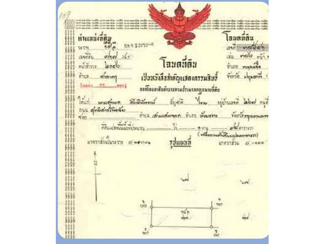 ขายที่ดินแปลงสวยติดถนน 2 ฝั่ง คลอง11 อำเภอหนองเสือ จังหวัดปทุมธาน
