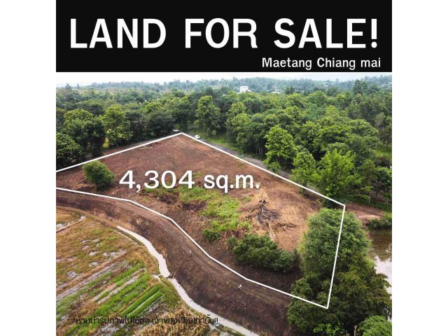 ขายที่ดินแม่แตง เชียงใหม่ 2ไร่กว่า โฉนด วิวเขา ติดคลอง บรรยากาศสุดสงบ เพียง 2.96 ล้านเท่านั้น!