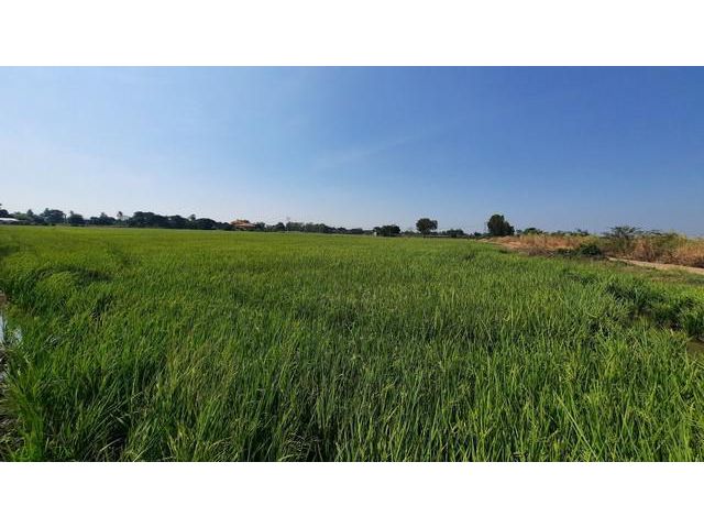 ขายที่ดิน ลพบุรี ต.บางขันหมาก