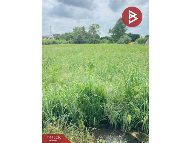 ขายที่ดิน เนื้อที่ 4 ไร่ 92 ตร.วา ท่าโพธิ์ พิษณุโลก