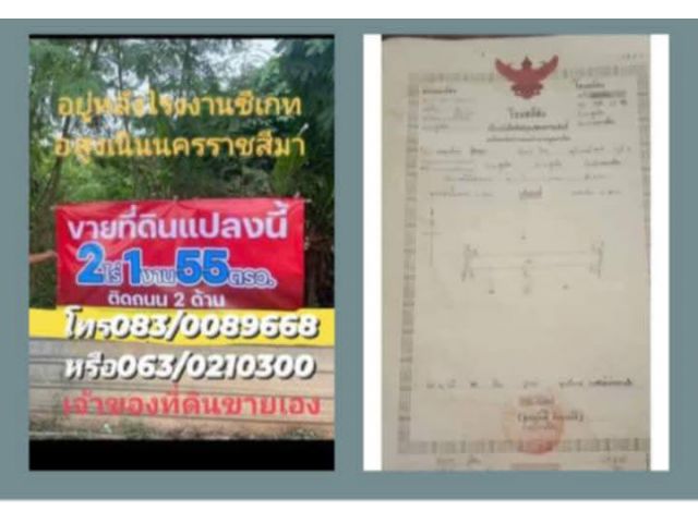 ที่ดินบ้านเหล่าสูงเนิน2ไร่ครึ่ง