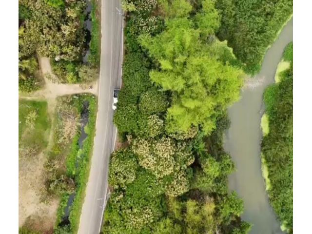 ขายที่ดินหน้าติดถนนคอนกรีตหลังติดแม่น้ำกวงโฉนด
