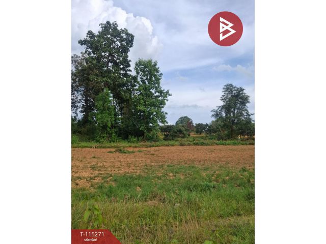 ขายที่ดินเปล่า 1 ไร่ เทิง เชียงราย