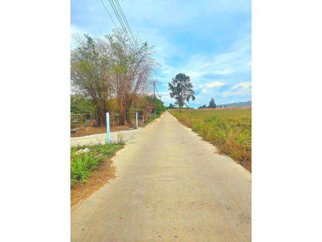 ขายที่ดินสวยๆ พื้นที่​ 2​ งาน อ.นิคมพัฒนา​ จ.ระยอง​ อยู่ซอย12  ฝั่งสาย​15