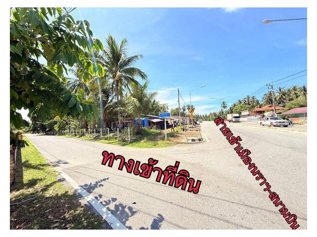 ขาย:ที่ดิน สวย ทำเลทอง โอกาสดี ทำเลทอง