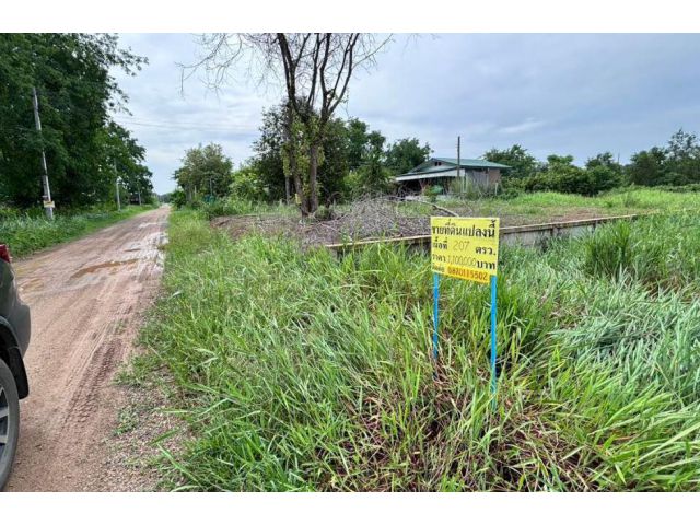 ขายที่ดิน คลอง6 เนื้อที่ 207 ตรว เจ้าของขายเอง