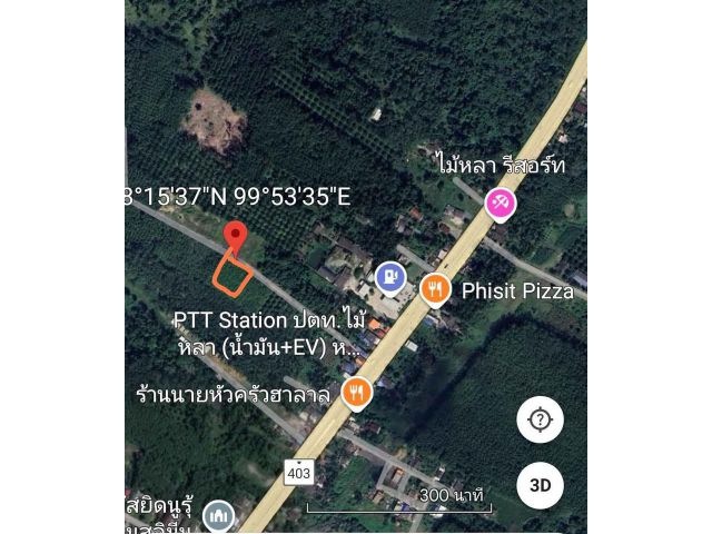 ขายที่ดิน โฉนด บ้านไม้หลา ร่อนพิบูลย์ นครศรีธรรมราช (ใกล้ถนนเส้นทุ่งสง-นครศรีฯ)