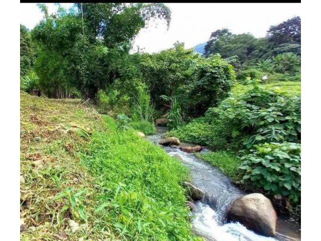 ขายที่นาขั้นบันไดติดลำธารน้ำวิวดอยสะเมิงเหนือสะเมิงพร้อมโอน