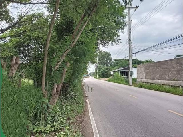 ขายที่ดินตำบลสันผักหวานหางดงห่างถนนหลัก 200เมตร