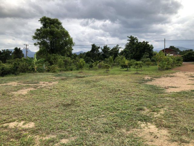 ต้องการขายด่วนนน!! เจ้าของจะรีบย้ายกลับต่างจังหวัดค่ะ เนื้อที่ 4 ไร่ ใกล้อุทยานประวัติศาสตร์ฯ ติดทางหลวง ต.เมืองเก่า สนใจ โทร.มาคุยเงื่อนไขกันนะคะ