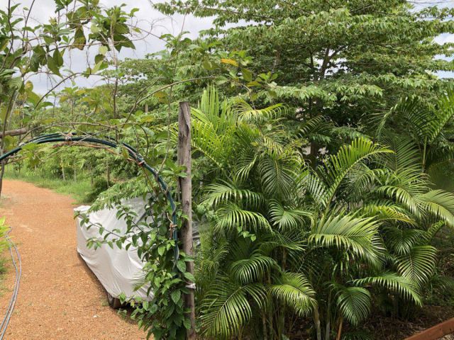 ต้องการขายด่วนนน!! เจ้าของจะรีบย้ายกลับต่างจังหวัดค่ะ เนื้อที่ 4 ไร่ ใกล้อุทยานประวัติศาสตร์ฯ ติดทางหลวง ต.เมืองเก่า สนใจ โทร.มาคุยเงื่อนไขกันนะคะ