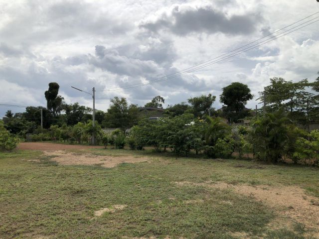 ต้องการขายด่วนนน!! เจ้าของจะรีบย้ายกลับต่างจังหวัดค่ะ เนื้อที่ 4 ไร่ ใกล้อุทยานประวัติศาสตร์ฯ ติดทางหลวง ต.เมืองเก่า สนใจ โทร.มาคุยเงื่อนไขกันนะคะ