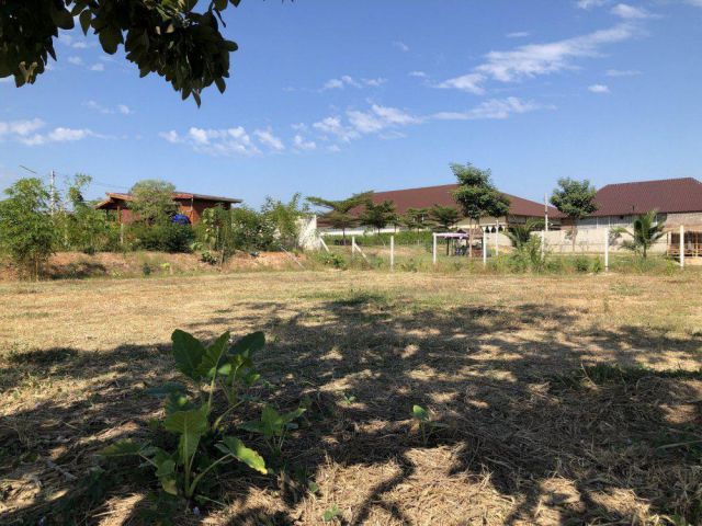 ต้องการขายด่วนนน!! เจ้าของจะรีบย้ายกลับต่างจังหวัดค่ะ เนื้อที่ 4 ไร่ ใกล้อุทยานประวัติศาสตร์ฯ ติดทางหลวง ต.เมืองเก่า สนใจ โทร.มาคุยเงื่อนไขกันนะคะ