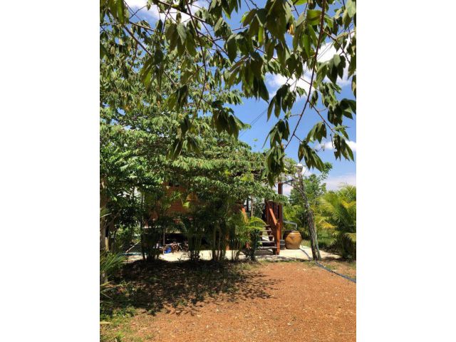 ต้องการขายด่วนนน!! เจ้าของจะรีบย้ายกลับต่างจังหวัดค่ะ เนื้อที่ 4 ไร่ ใกล้อุทยานประวัติศาสตร์ฯ ติดทางหลวง ต.เมืองเก่า สนใจ โทร.มาคุยเงื่อนไขกันนะคะ