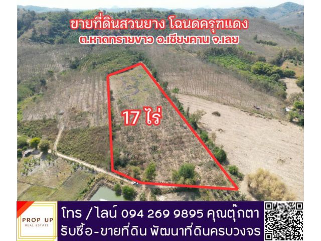ขายที่ดินสวนยาง 17 ไร่ ปลูกไว้ 200 กว่าต้น