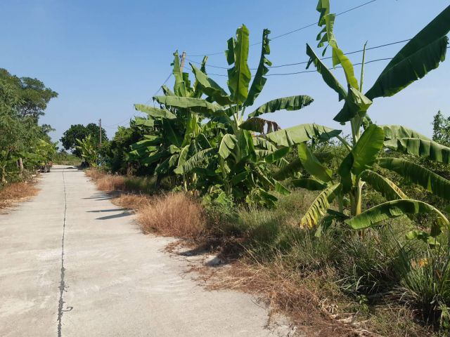แบ่งขายด่วน!!! ที่ดินแปลงสวยราคาถูก ติดถนนคอนกรีต แหล่งท่องเที่ยวดูบัว เนื้อที่ 2 ไร่ เหมาะปลูกบ้านอยู่อาศัย