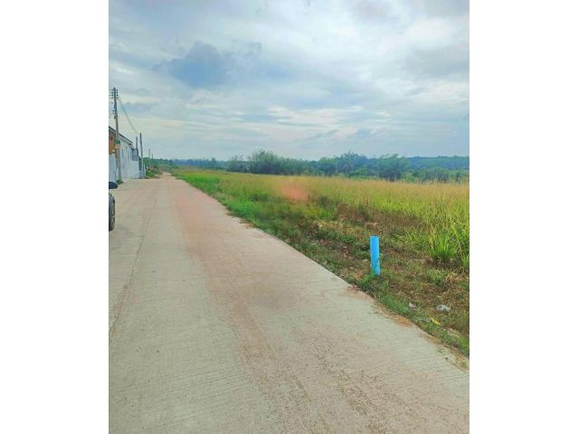 ขายที่ดิน​ ซอย​12.​ สาย15. อ.นิคมพัฒนา​ จ.ระยอง พื้นที่​ 4 ไร่  59 ตารางวา​
