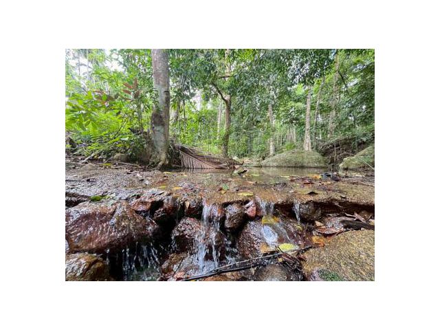 For Sale or Long Lease: 3 Rai of Prime Land  Area of Koh Samui