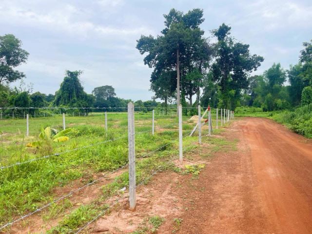 ขายที่ดิน2ไร่ราคายกแปลง495,000บาทล้อมรั้วให้พร้อมบ้านหนองจิก ต วังดาล อ กบินทร์บุรี จ ปราจีนบุรี